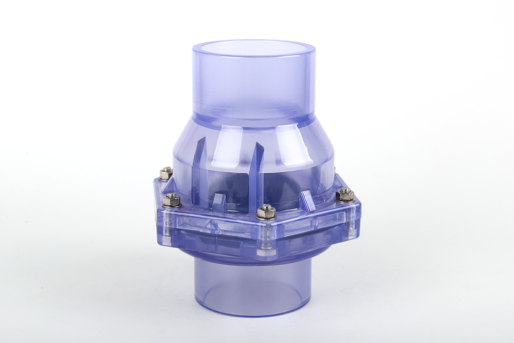 珠山透明翻板式止回阀